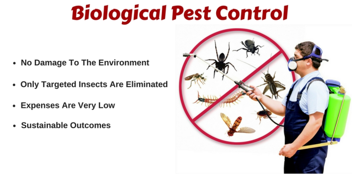 What is Pest Control and its Methods